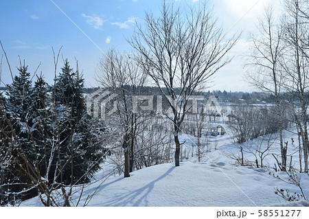 美馬牛の朝 美馬牛の朝 58551277