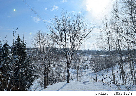 美馬牛の朝 58551278