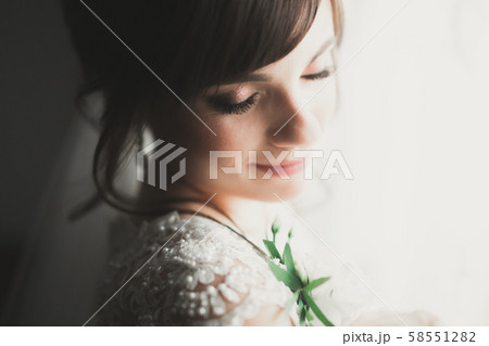 Portrait of beautiful bride with fashion veil at wedding morning Portrait of beautiful bride with fashion veil at wedding morning 58551282