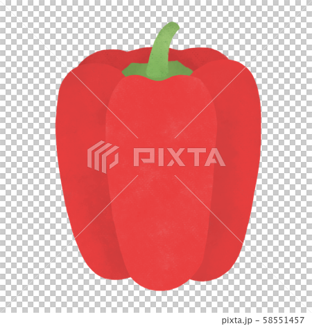 Red paprika 58551457