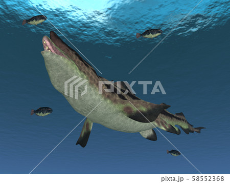 Prehistoric shark Edestus 58552368