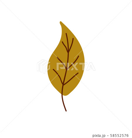Isolated cute autumn leaf in scandinavian  58552576