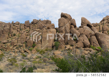 ビッグベンド国立公園(グレープバイン・ヒルズ) ビッグベンド国立公園(グレープバイン・ヒルズ) 58552582