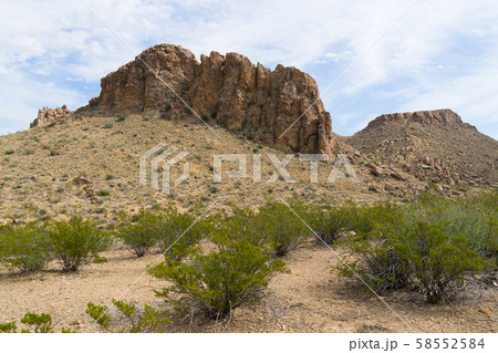 ビッグベンド国立公園(グレープバイン・ヒルズ) ビッグベンド国立公園(グレープバイン・ヒルズ) 58552584