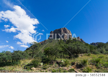 ビッグベンド国立公園（チソス・ベイシン） 58552588