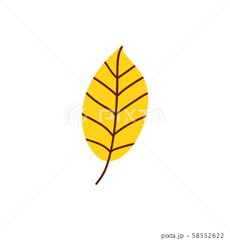 Isolated cute autumn leaf in scandinavian Isolated cute autumn leaf in scandinavian 58552622
