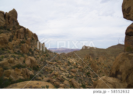 ビッグベンド国立公園(グレープバイン・ヒルズ) ビッグベンド国立公園(グレープバイン・ヒルズ) 58552632