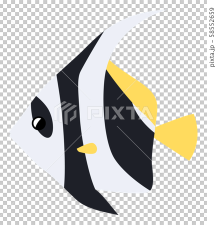 Illustration of grouper 58552659