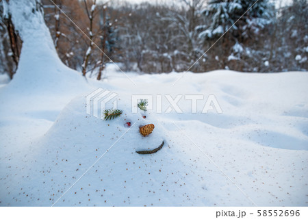 Cheerful snowdrift, snowman in anticipation of 58552696