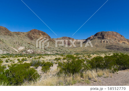 ビッグベンド国立公園（ロス・マクスウェル観光街道） 58552770