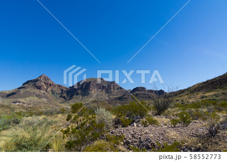 ビッグベンド国立公園（ロス・マクスウェル観光街道） 58552773