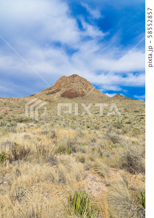 ビッグベンド国立公園(ロス・マクスウェル観光街道) ビッグベンド国立公園(ロス・マクスウェル観光街道) 58552857
