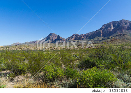ビッグベンド国立公園（ロス・マクスウェル観光街道） 58552858