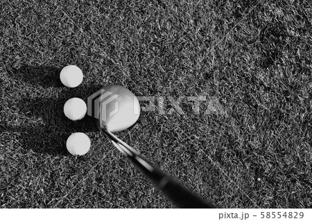 Stick with a ball on an artificial golf course Stick with a ball on an artificial golf course 58554829