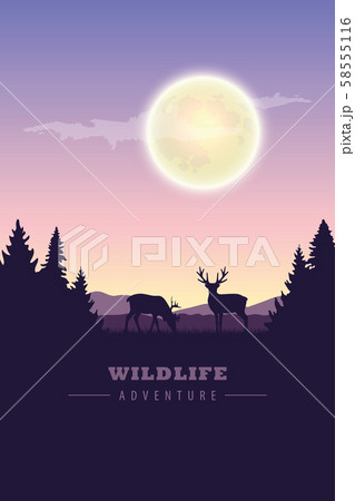 wildlife adventure elk in the wilderness at night by full moon wildlife adventure elk in the wilderness at night by full moon 58555116