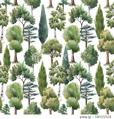 Watercolor vector tree seamless pattern forest oak fir birch, thuja linden baobab pine 58555528