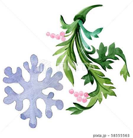 Winter ornament elements. Watercolor background illustration set. Isolated ornament illustration Winter ornament elements. Watercolor background illustration set. Isolated ornament illustration 58555563