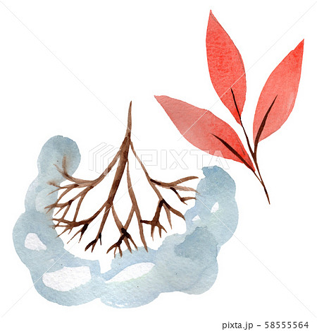 Winter ornament elements. Watercolor background illustration set. Isolated ornament illustration Winter ornament elements. Watercolor background illustration set. Isolated ornament illustration 58555564