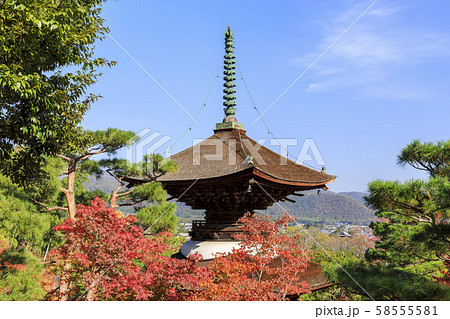 京都・常寂光寺・秋・紅葉・多宝塔 京都・常寂光寺・秋・紅葉・多宝塔 58555581