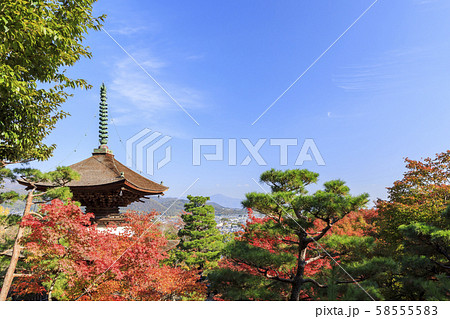 京都・常寂光寺・秋・紅葉・多宝塔 京都・常寂光寺・秋・紅葉・多宝塔 58555583