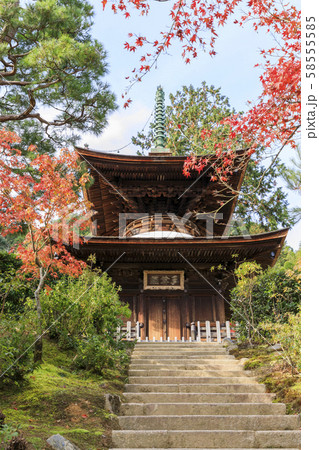 京都・常寂光寺・秋・紅葉・多宝塔 58555585