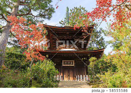 京都・常寂光寺・秋・紅葉・多宝塔 58555586