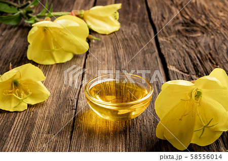 Evening primrose oil and fresh blooming plant Evening primrose oil and fresh blooming plant 58556014
