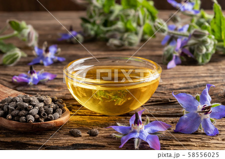 A bowl of borage oil and borage seeds and flowers A bowl of borage oil and borage seeds and flowers 58556025
