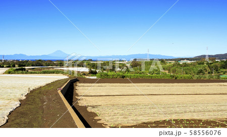 畑(秋) 畑(秋) 58556076