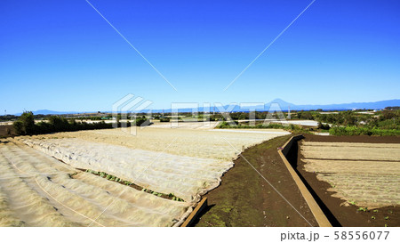 畑（秋） 58556077