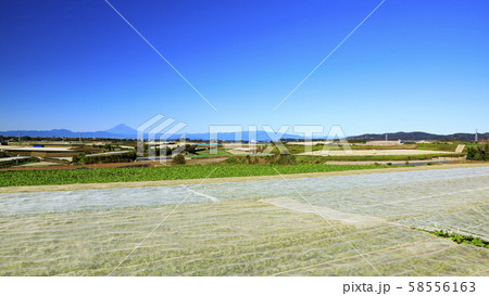 畑（秋） 58556163