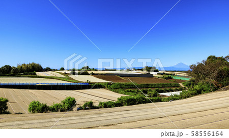 畑（秋） 58556164