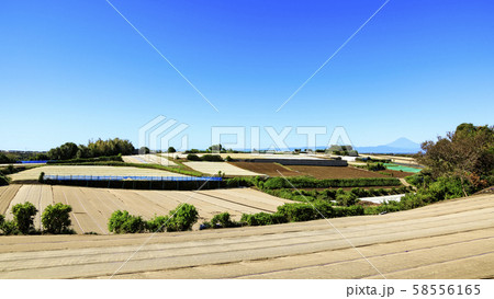 畑(秋) 畑(秋) 58556165