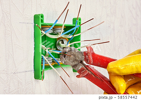 Repair of household electrical wiring. 58557442