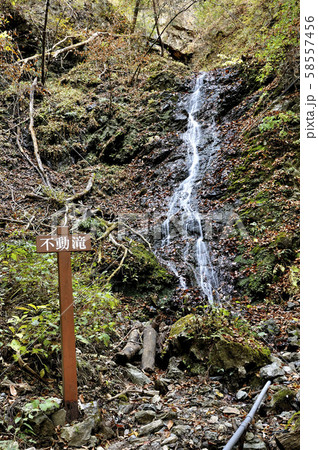 奥武蔵 武甲山の不動滝 奥武蔵 武甲山の不動滝 58557456
