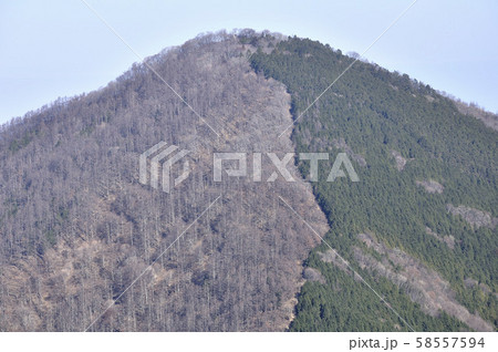 奥武蔵 小持山より武甲山 奥武蔵 小持山より武甲山 58557594