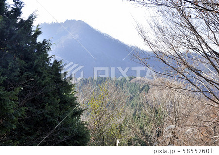武甲山より小持山 武甲山より小持山 58557601