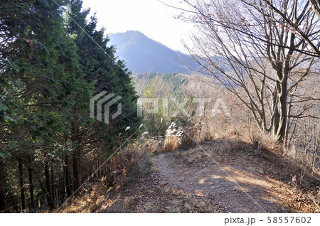武甲山より小持山 武甲山より小持山 58557602