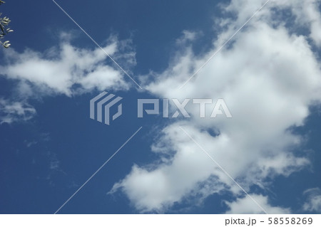 綿菓子っぽい雲 58558269