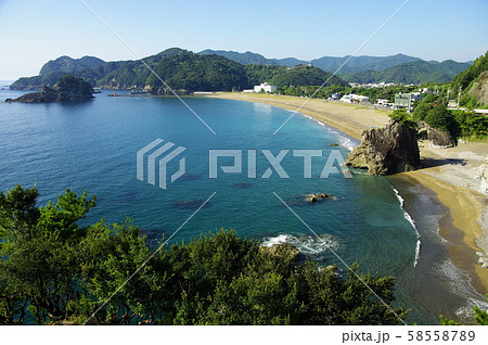 ウミガメの産卵地 白砂青松の大浜海岸 ウミガメの産卵地 白砂青松の大浜海岸 58558789