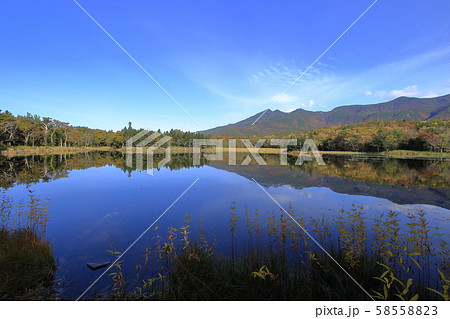 秋の知床五湖の二湖 ( 北海道 斜里町 ) 58558823