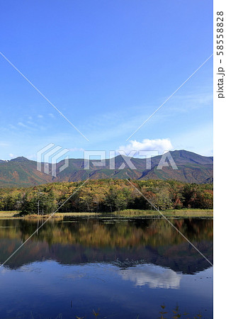秋の知床五湖の二湖 ( 北海道 斜里町 ) 秋の知床五湖の二湖 ( 北海道 斜里町 ) 58558828