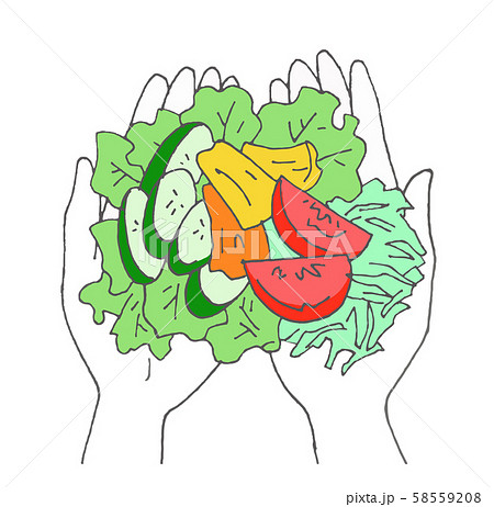 １日分の野菜 58559208