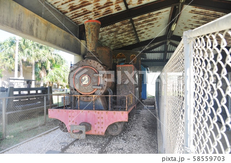 シュガートレイン1 シュガートレイン1 58559703