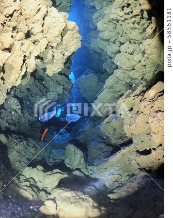 海中洞窟@宮古島 海中洞窟@宮古島 58561181