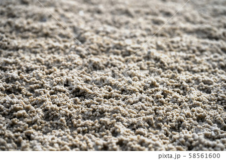 Sand of sea close up for copy space Sand of sea close up for copy space 58561600