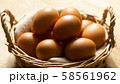 たまご 58561962