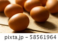 たまご 58561964