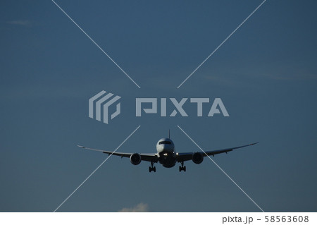 飛行機 飛行機 58563608