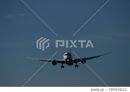 飛行機 58563612